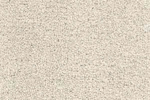 Ковролин Radici Admiral Latte 1304 фото  | FLOORDEALER